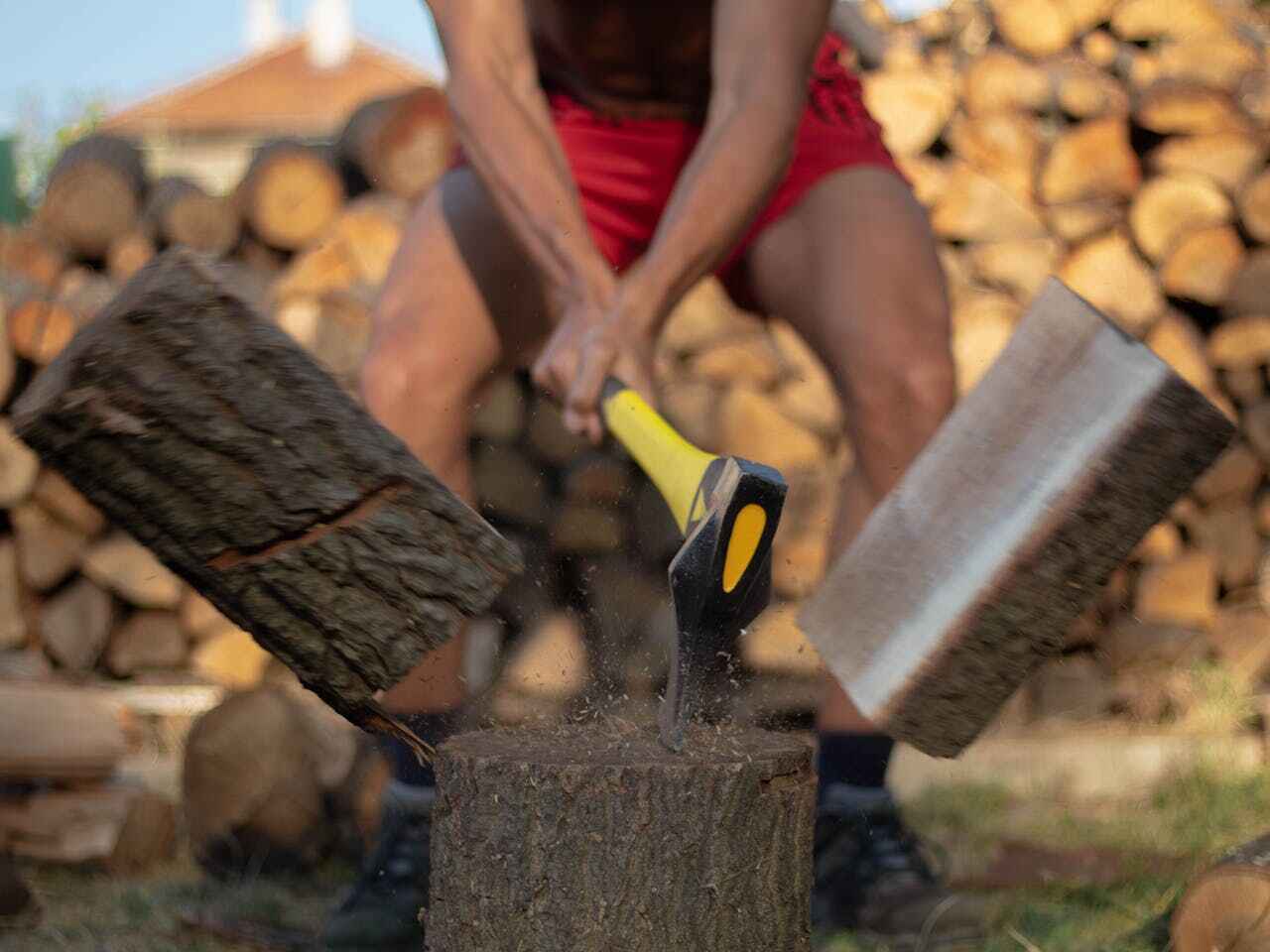 La Plata, NM Tree Service Company